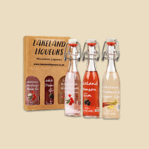 Three miniature bottles of Gin Liqueurs in presentation box