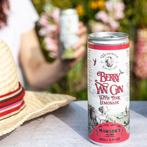 Berry Gin and Pink Lemonade Can