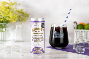 Dandelion & Burdock Ready to Drink 12 x 250ml cans