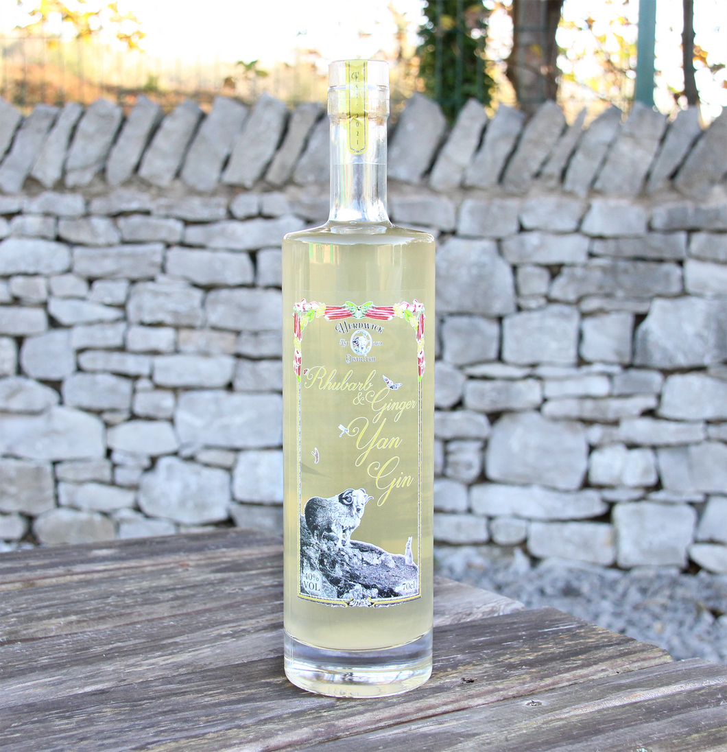 Rhubarb & Ginger Yan Gin by Herdwick Distillery